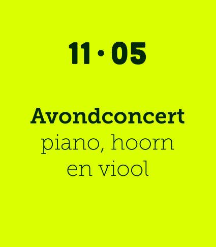 Avondconcert piano, hoorn & viool