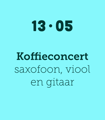 Koffieconcert saxofoon, viool & gitaar