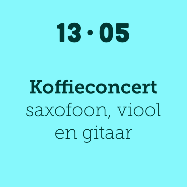 Koffieconcert saxofoon, viool & gitaar